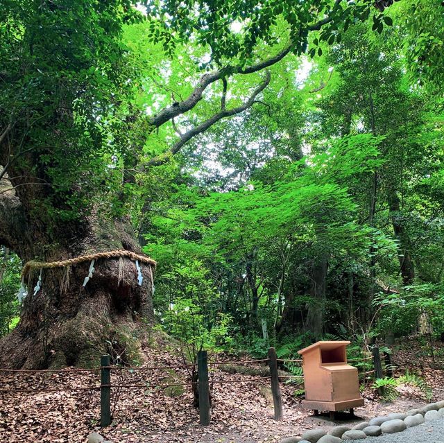 ศาลเจ้าอัตสึตะ 熱田神宮⛩️⛩️