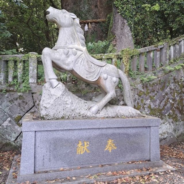 【大分観光】別府パワースポット🌳