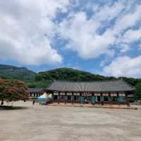 일제에서 돌아온 지장보살