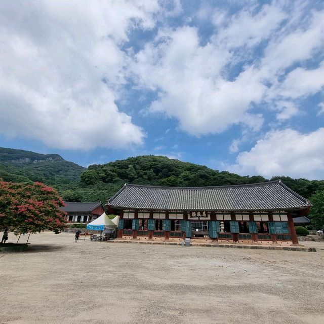 일제에서 돌아온 지장보살