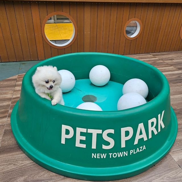 帶毛孩放電購物好地方🐶🦮🐕‍🦺🐕🐩