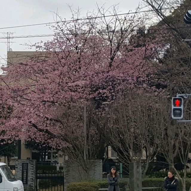 Gumyo-ji