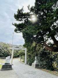 【静岡県/石室神社】断崖絶壁に社殿がある神社