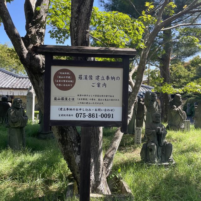 【京都府】嵐山の隠れた名所！？圧巻の嵐山羅漢！