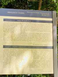 Asaina Kiridoshi Pass - Kumano Shrine 