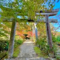 Hakusan Shrine: Serenity in Shiga