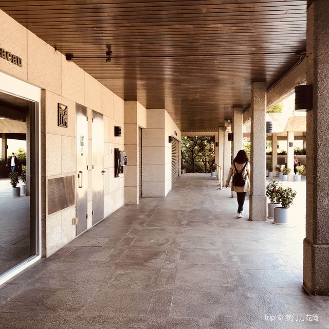 MUSEU DE MACAU 