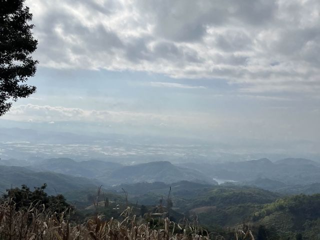 ลานกางเต้นท์ ยาป่ายาใจ 🏕️🌳@ดอยแหลม