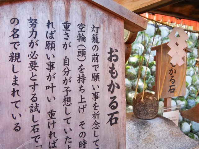 【京都市】無数の鳥居をくぐり山頂へ⛩
