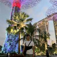 Supertree Grove~彷似走進阿凡達世界
