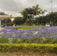 สวนดอกไม้เมืองหนาว ดาลัด (Dalat Flower Park)