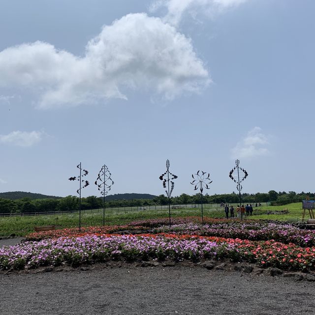 제주의 광활한 생태공원, 에코랜드