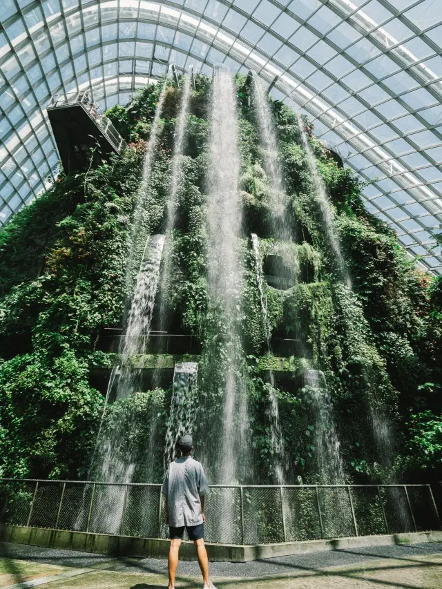 Cloud Forest Dome - Garden by the Bay