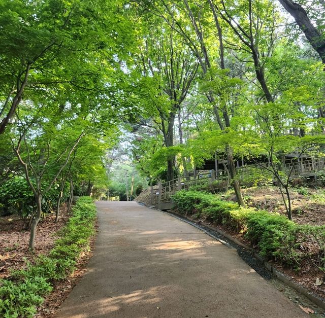 부산 송도 해상 케이블카
