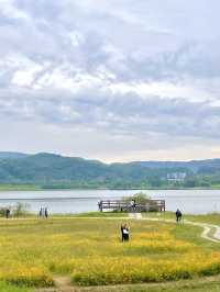 서울근교 평화로운 힐링공원 남양주 ‘물의 정원’💧