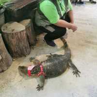 Fun Day in Borneo Happy Farm