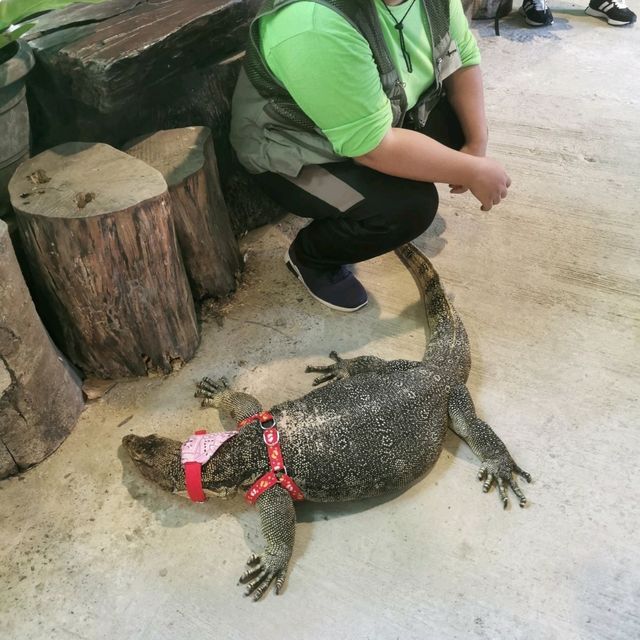 Fun Day in Borneo Happy Farm