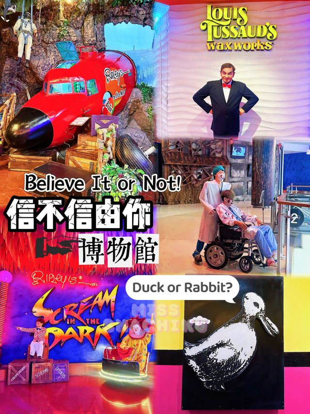 ⭐️ 𝐁𝐞𝐥𝐢𝐞𝐯𝐞 𝐈𝐭 𝐨𝐫 𝐍𝐨𝐭❗️你去過未❓