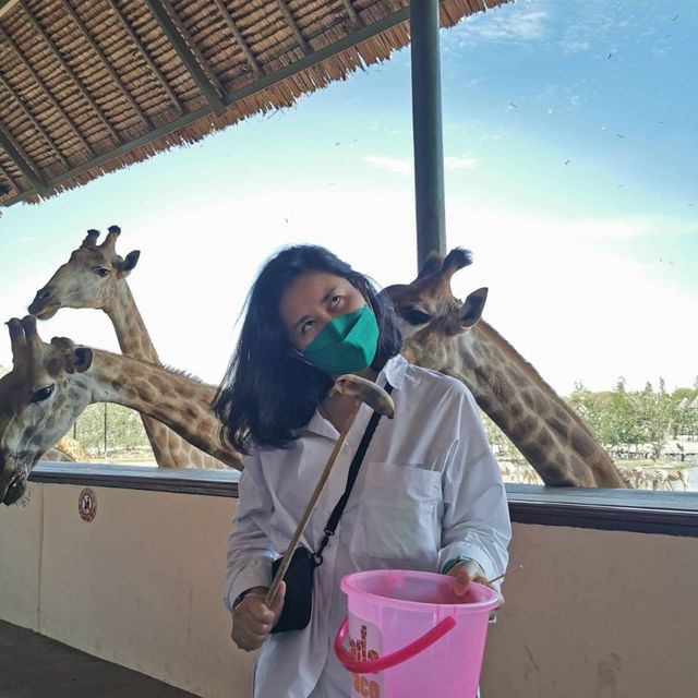 เดินทอดน่อง ส่องสัตว์ในกรุง @Safari World