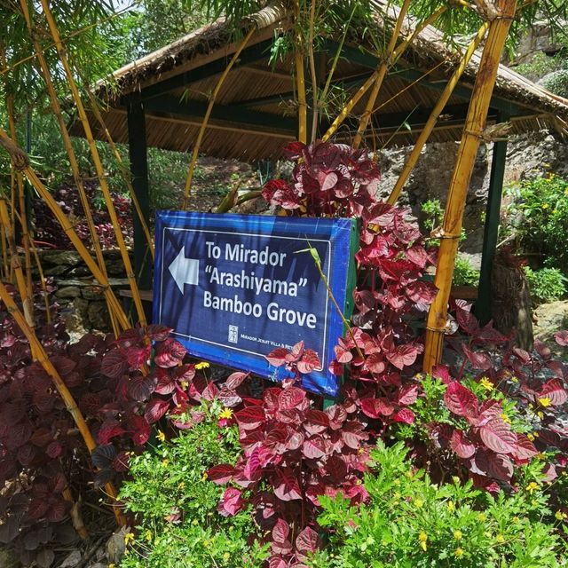 Baguio City 2023🍓🍓🍓