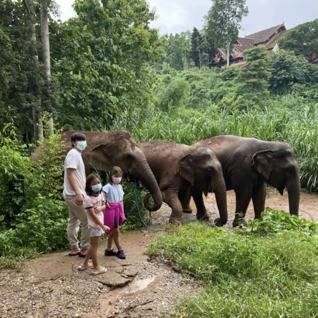 Anantara Golden Triangle Elephant Camp & Resort