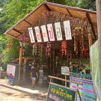 มื้อเที่ยงเรียบๆง่ายๆที่ ตลาดโอ๊ะป่อย ราชบุรี🐝