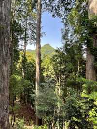 【東京都/武蔵御嶽神社】山岳信仰と狼による守り神の地