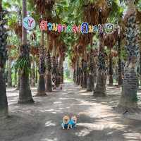 ที่เที่ยวแหล่งเรียนรู้ตาลโตนด  ต้นไม้ประจำเพชรบุรี