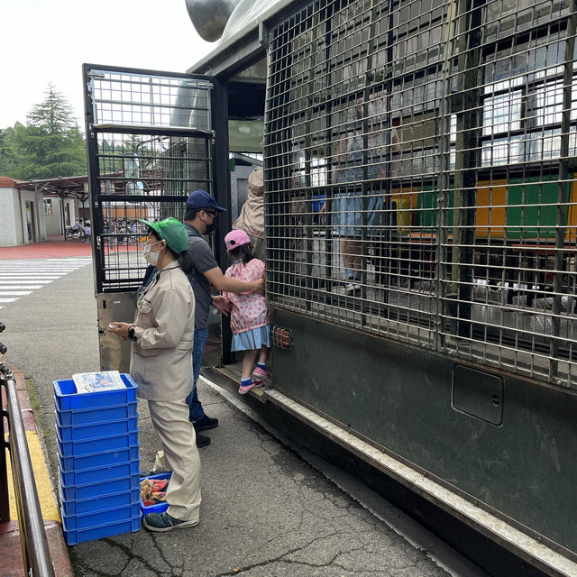 九洲自然動物園觀光車