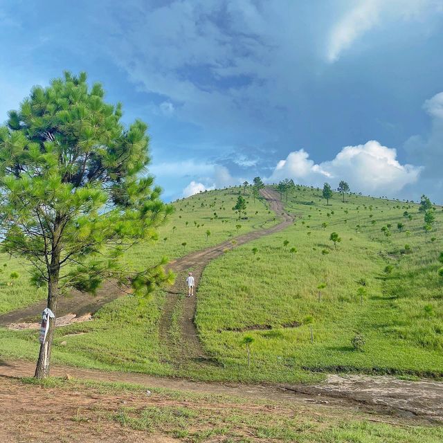 Đồi Phượng Hoàng