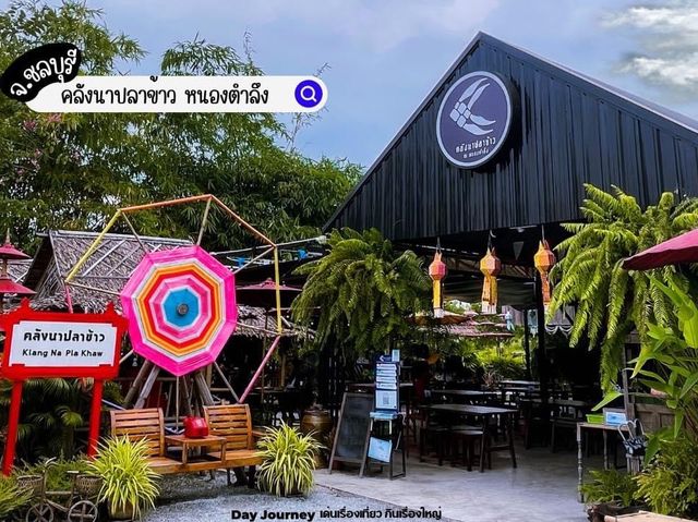 คลังนาปลาข้าว ✨ พานทอง จ.ชลบุรี