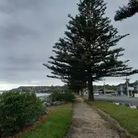 漫步紐西蘭南島小鎮  [凱庫拉]