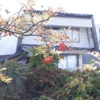 日本住宿篇，復古日式溫泉旅館