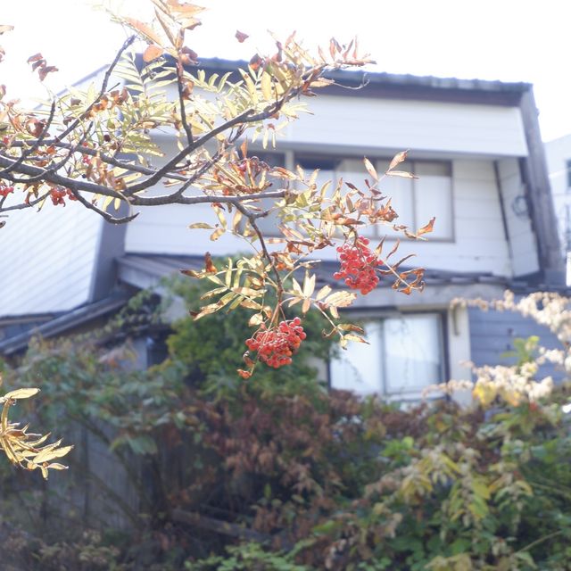 日本住宿篇，復古日式溫泉旅館