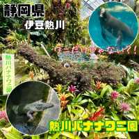 【静岡県/伊豆熱川】熱川バナナワニ園