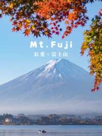 【山梨】紅葉×富士山　一度は見てみたい秋の美しい景色