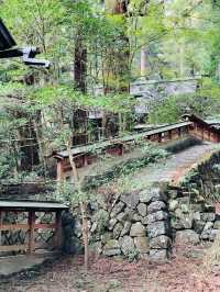 【群馬県/三夜沢赤城神社】2023年行ってよかった！群馬県の神社⑤