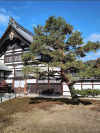 เที่ยววัดทองแห่งเกียวโต Kinkakuji Temple