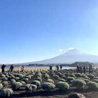 Unforgettable moments at Mount Fuji 