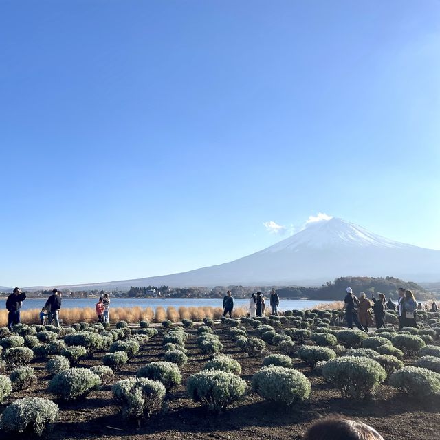 Unforgettable moments at Mount Fuji 