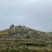 Italy Cinque Terre a postcard coming to life