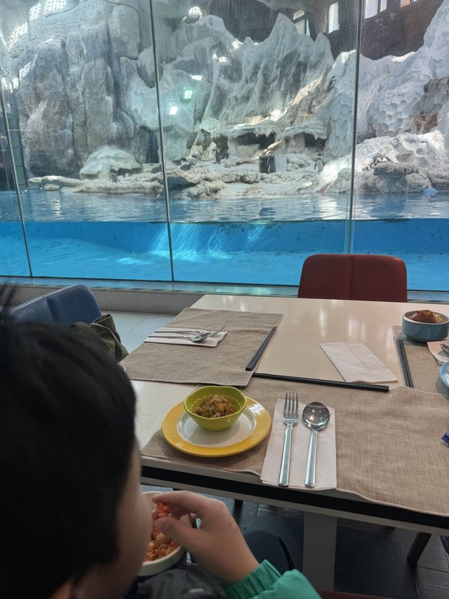 2 日1 夜豪玩食攻略 · 過來人分享珠海海洋王國點玩攻略