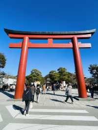 【神奈川県/鶴岡八幡宮】関東有数の初詣スポット