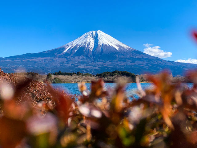 จุดชมวิวทะเลสาบทะนุกิ (Tanuki Lake)