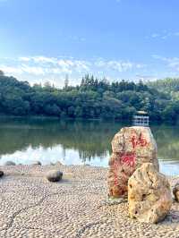 深圳最美植物園，湖光山色，處處都是打咭位