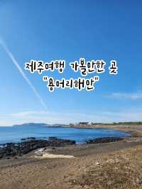 🏞내가 좋아하는 제주여행지, 자연이 만든 멋진 곳 "용머리해안"🏞