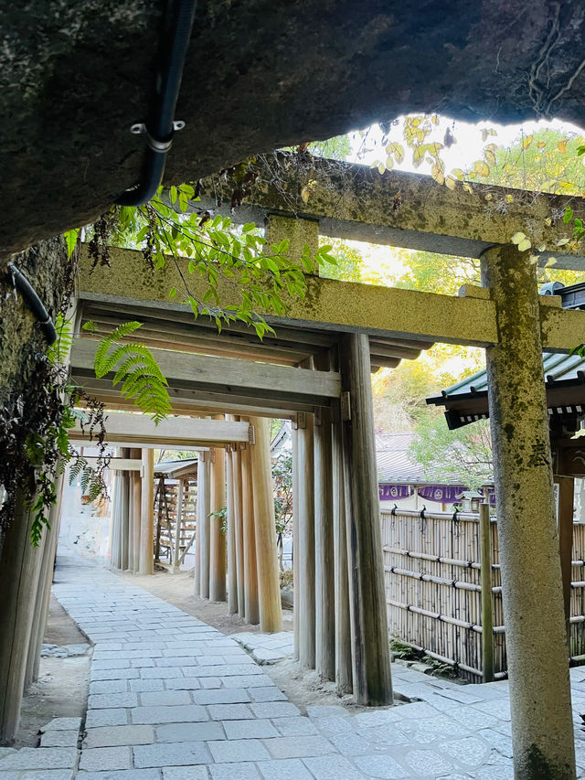 【神奈川県】銭洗弁財天宇賀福神社内にある「下之水神宮」を参拝