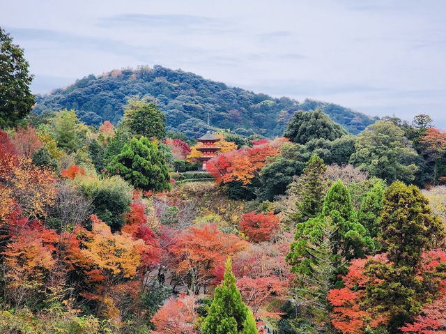 Kiyomizudera Temple in Autumn