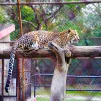 National Zoological Park