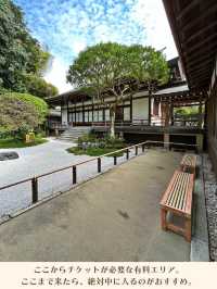 【神奈川】京都じゃないよ！心安らぐ竹の庭🎋